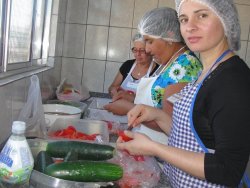 Alimentação e Hortas Caseiras